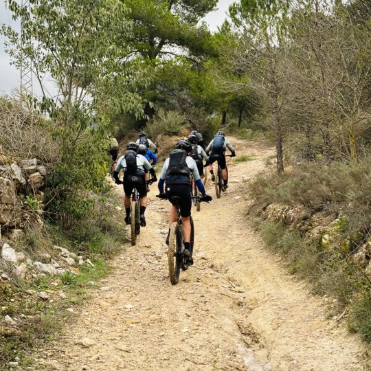 Le Priorat catalan, entre vignes et montagnes saintes